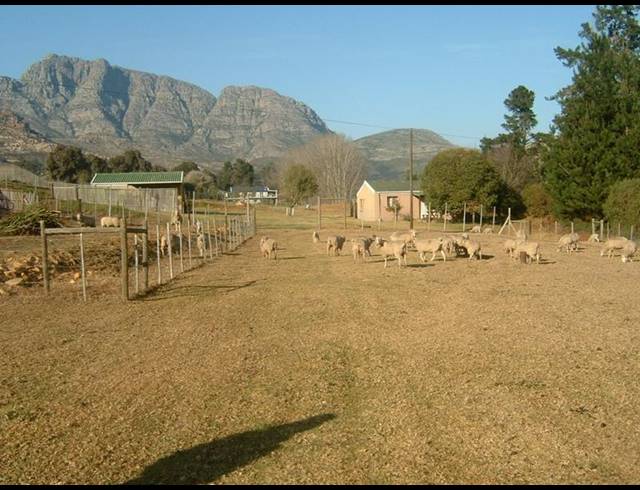 FARM FOR SALE IN GEORGE RURAL